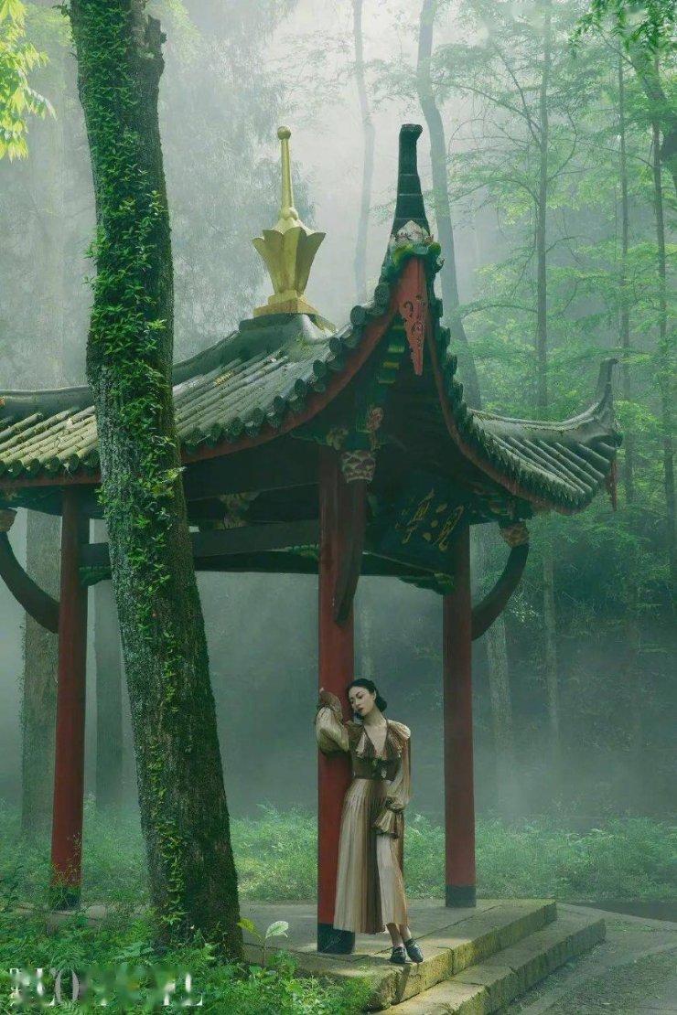 迷人的妖精